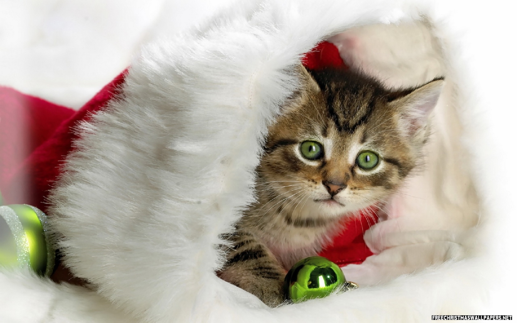Especial Natal 8